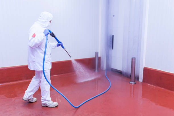 Best Building Exterior Washing  in Aitkin, MN
